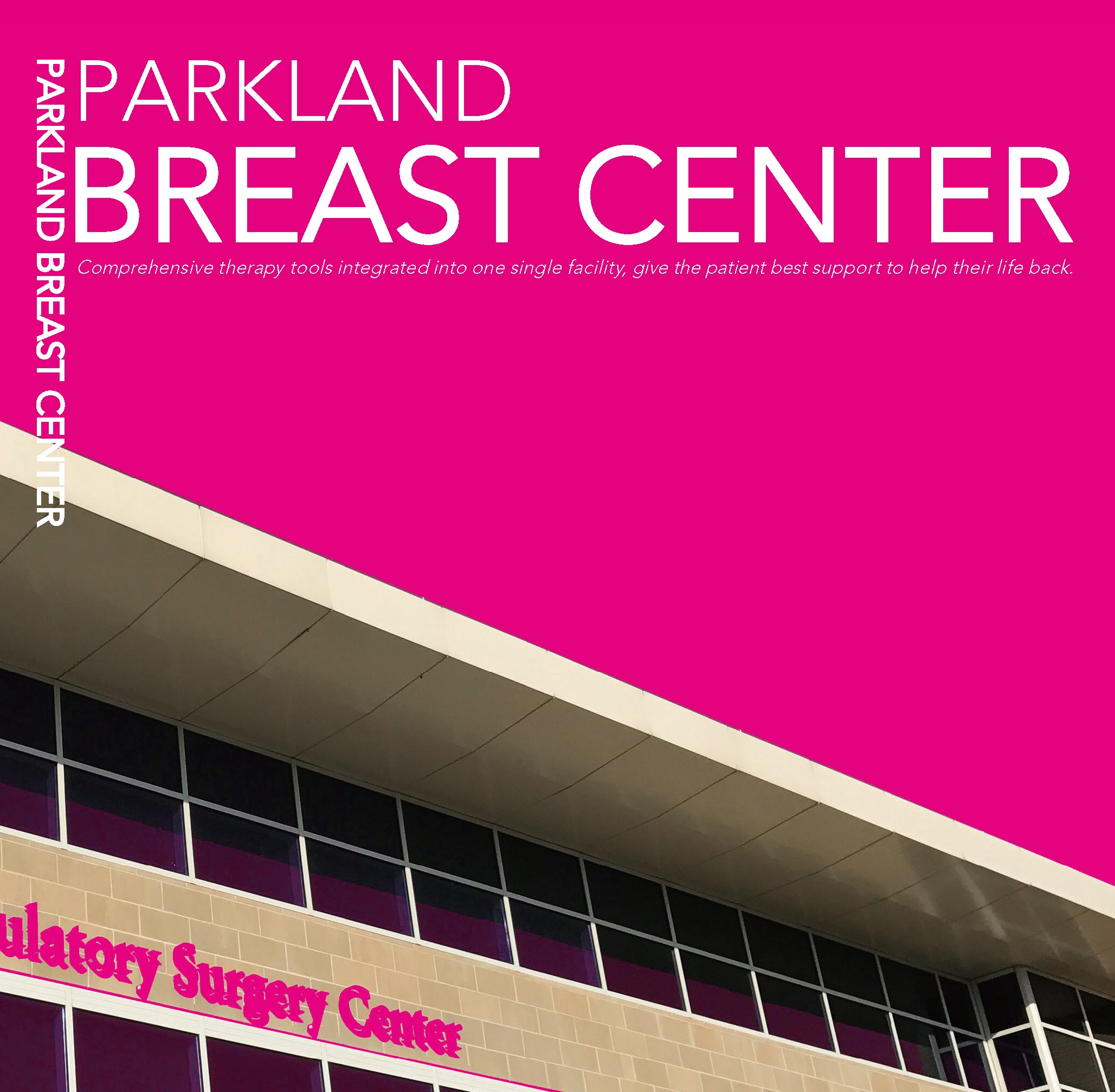 Parkland Breast Center: Comprehensive Therapy Tools Inge rated Into One Single Facility, Give the Patient Best Support to Help Their Life Back   (click for a larger preview)